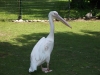 100_6068.jpg